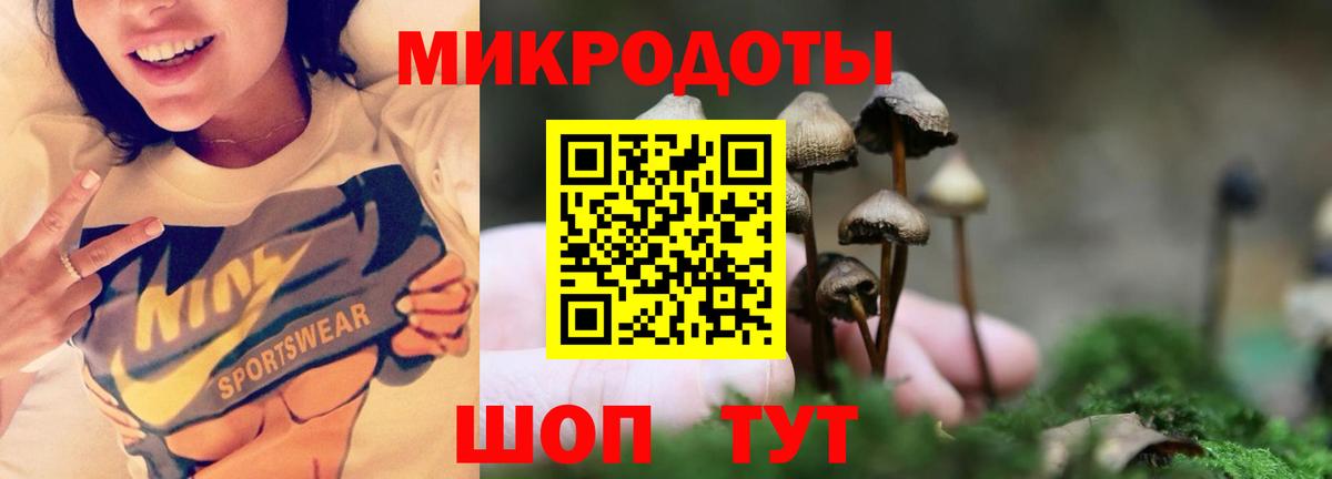 Галлюциногенные грибы мицелий Гудермес